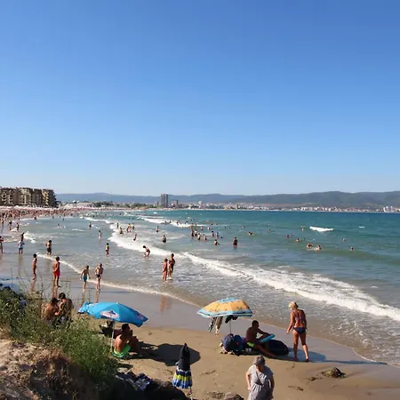 Jadore Dune 10 Sunny *