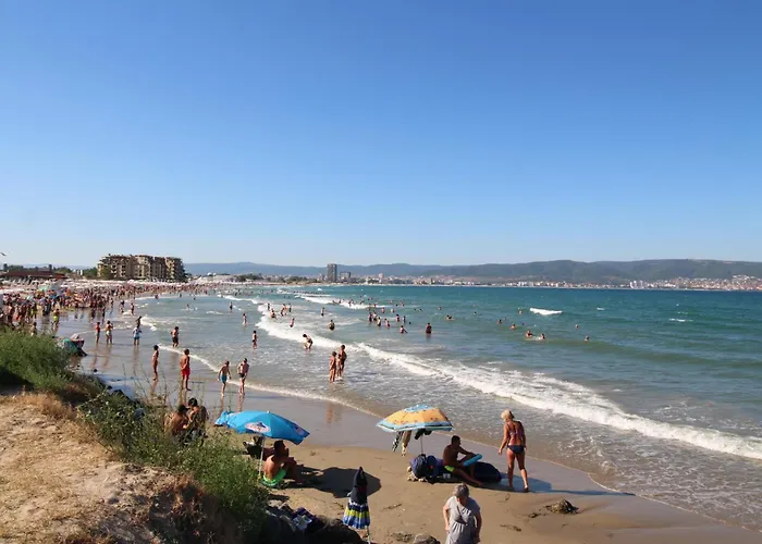 Jadore Dune 10 Sunny *